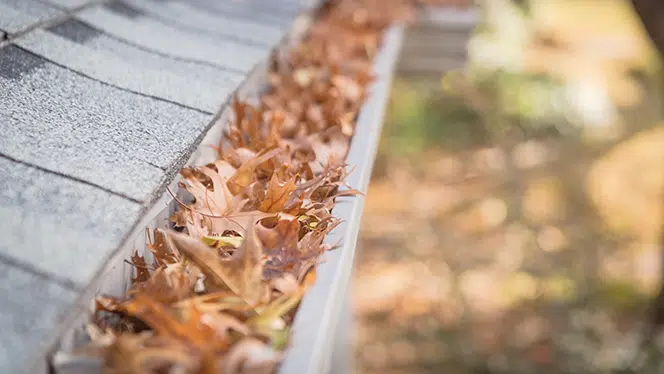 Gutter Guards - Elite Seamless Gutters - Northern Illinois Gutter Company